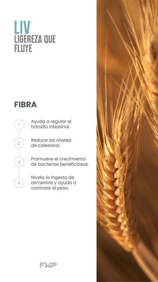 LIV - LIGEREZA QUE FLUYE